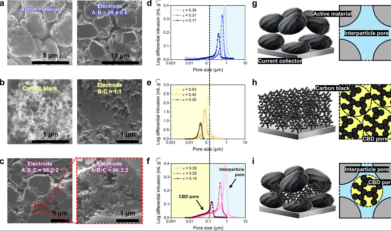 由二元和三元组分组合制备的模型电极具有独特的微观结构和孔隙结构。