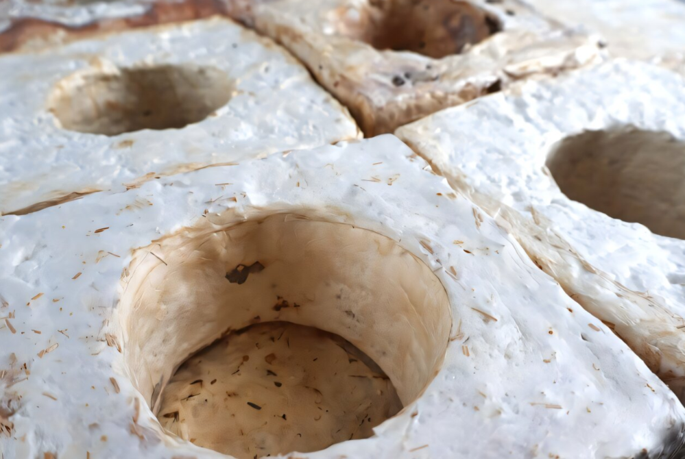 Placa composta de micélio feita de Ganoderma australiano e resíduos de biomassa locais (bagaço de cana de usina de açúcar, cobertura vegetal de campo de golfe local e fibras de cânhamo de produtor de cogumelos), com perfurações circulares.
