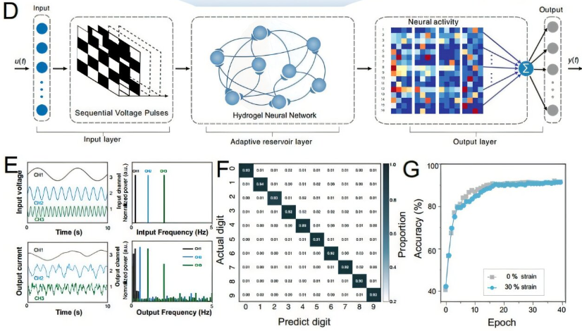 从二维刚性电子器件到三维柔性电子器件：利用三维水凝胶半导体提升晶体管的维度。