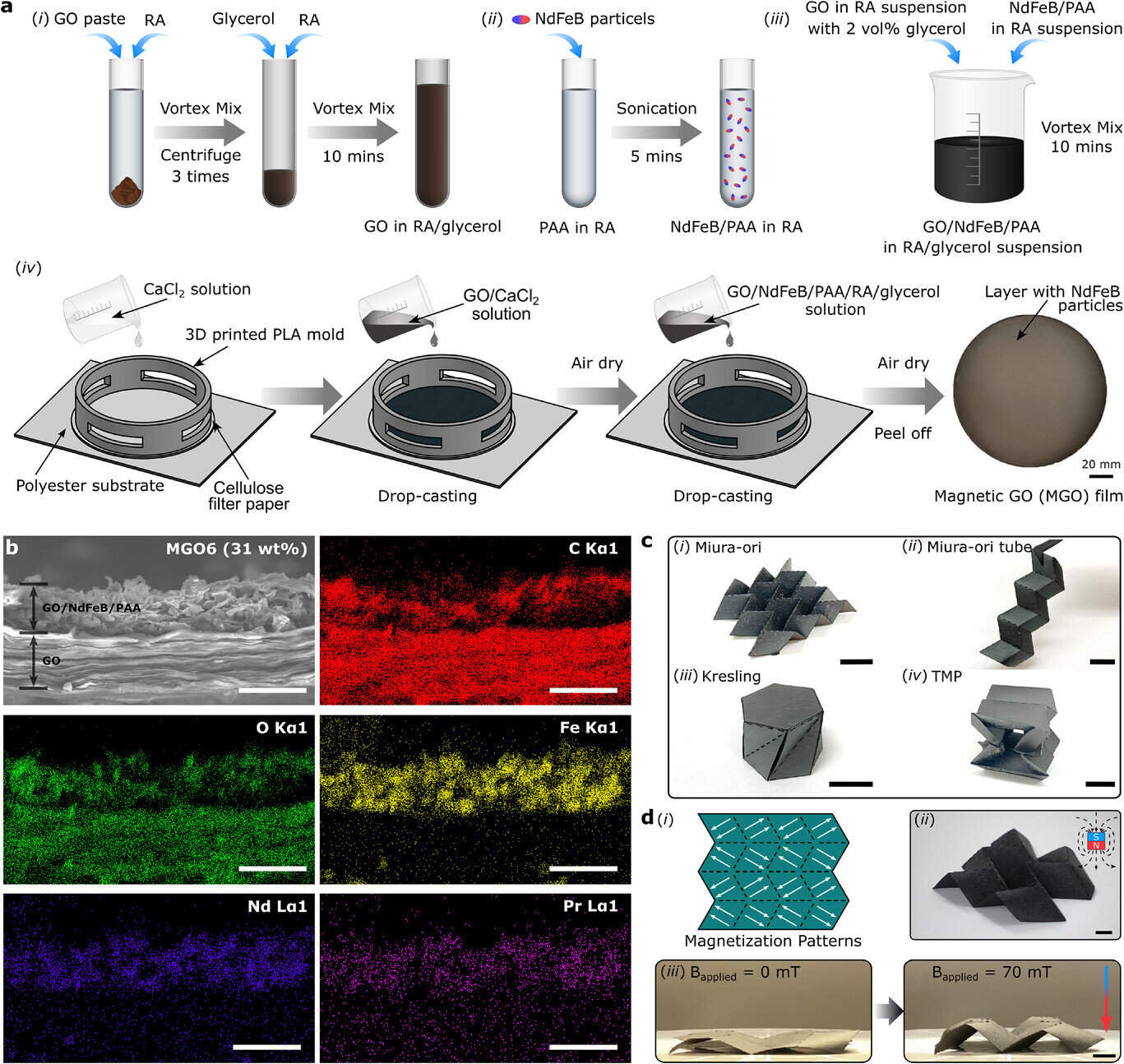 磁性氧化石墨烯薄膜的制备与表征。