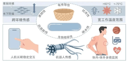 “竹篮”启发水凝胶的综合性能以及潜在应用示意图。