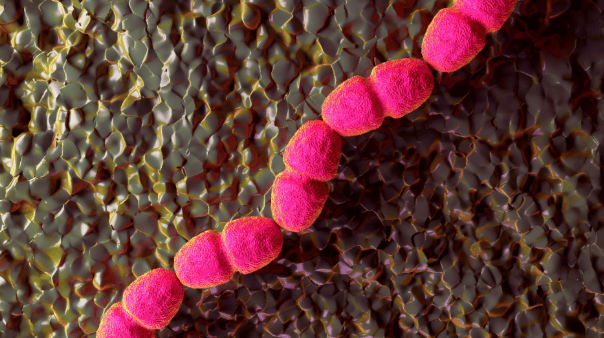 科学家们发现了为什么有些伤口会一直保持开放，以及通过简单的治疗方式调整可以帮助它们重新愈合。