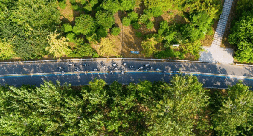 睢宁县姚刘线房湾湿地段