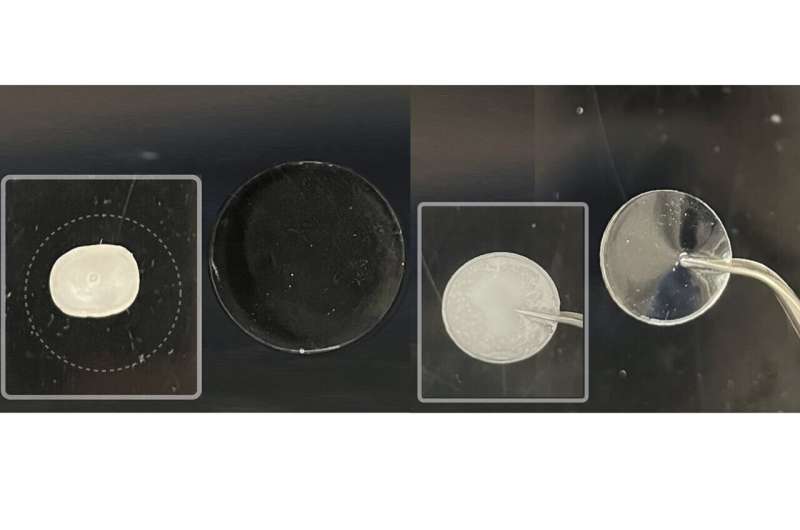 1 / 1采用传统化学成分的水凝胶溶液(左图)在空气中暴露五天后会脱水,而研究团队改良后的水凝胶(右图)则保持水合状态。右图还展示了传统水凝胶(左图)在低温下会冻结成固体,而研究团队改良后的水凝胶(右图)则不会冻结