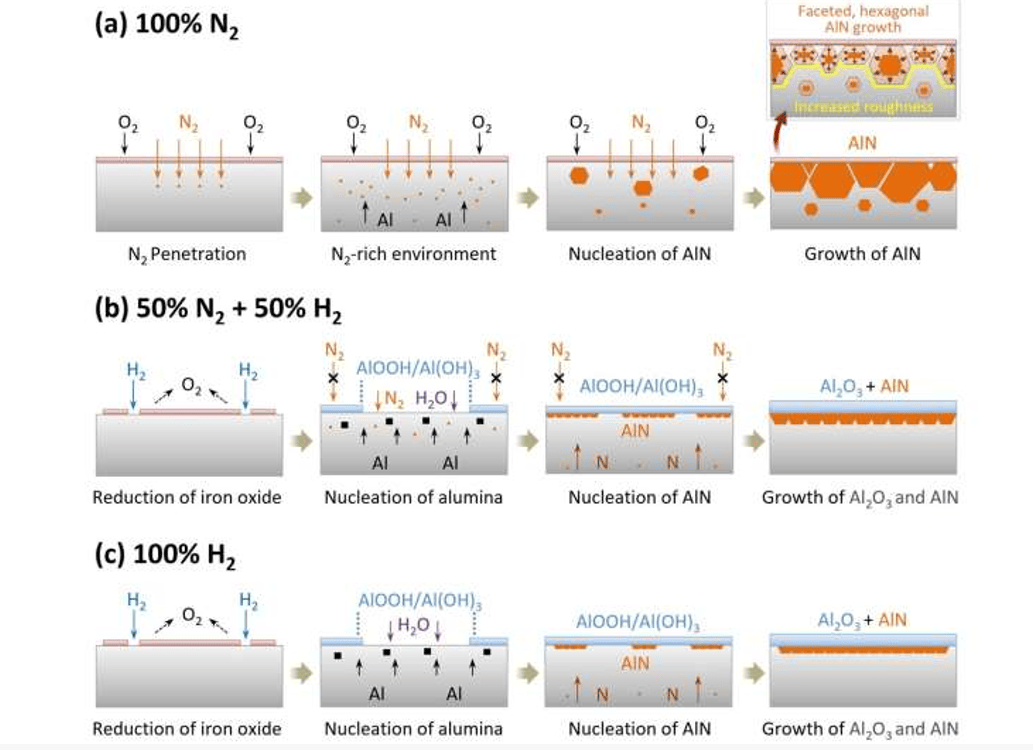 不同气氛下最终退火样品近表面微观结构形成机制示意图：(a)100% N₂，(b)50% N₂ + 50% H₂ ，(c)100% H₂ 。
