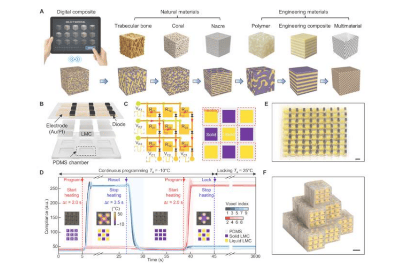 基于非易失性固液相架构的数字复合材料的编程与测试。