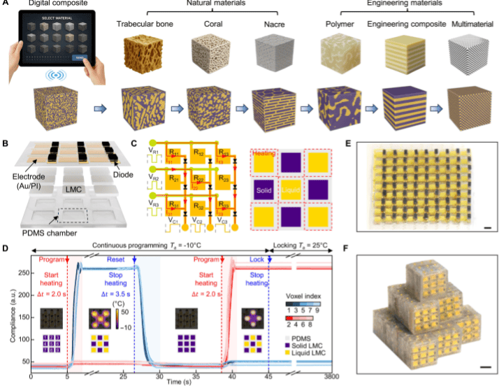 基于非易失性固液相架构的数字复合材料的编程与测试。