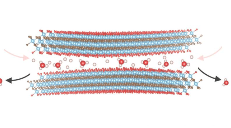 示意图：在酸性电解质H 2 SO 4 中，质子嵌入置换了受限的水分子，使MXene表面质子化，导致钛的氧化态降