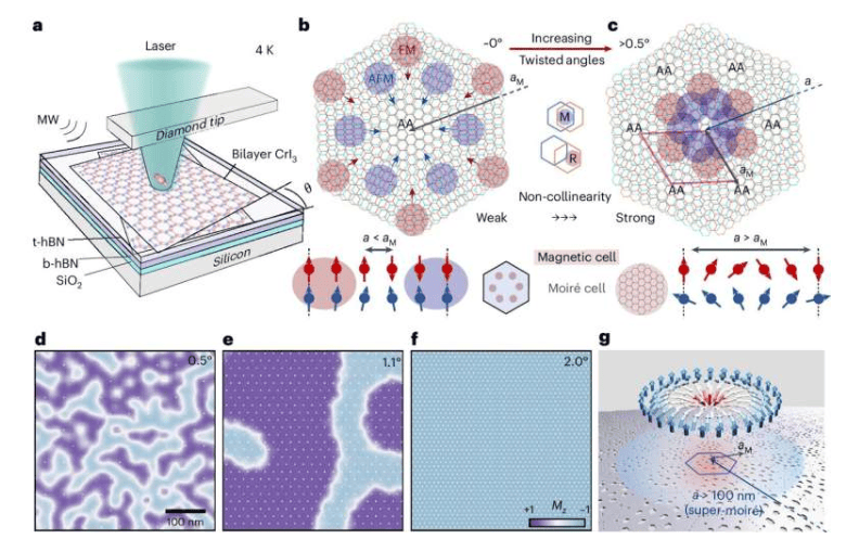 tDBCrI₃中竞争性磁序的演化。