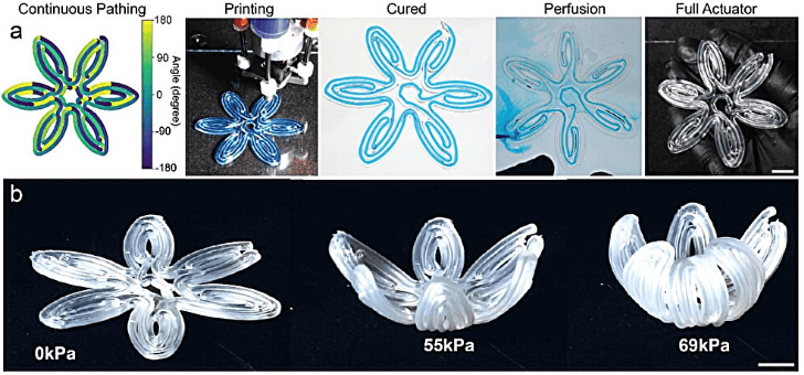 基于图像的打印路径规划用于生成复杂的软体机器人材料。