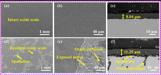 Caracterização da escama de óxido após 500 horas de manutenção a 1200°C.