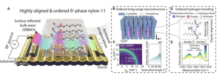 SRBW synthesis and characterization. Credit: Nature Communications (2026). DOI: 10.1038/s41467