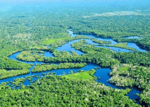 An image depicting the contrast between natural grassland/wetland and agricultural land.