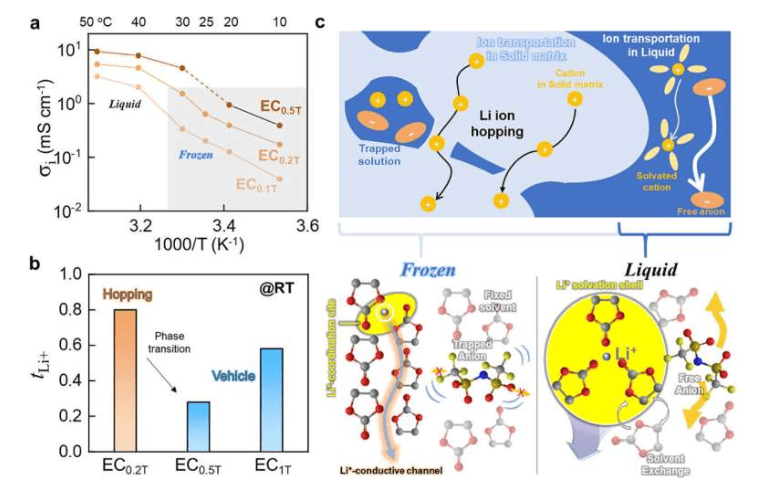 有机冰电解质的离子传输特性。