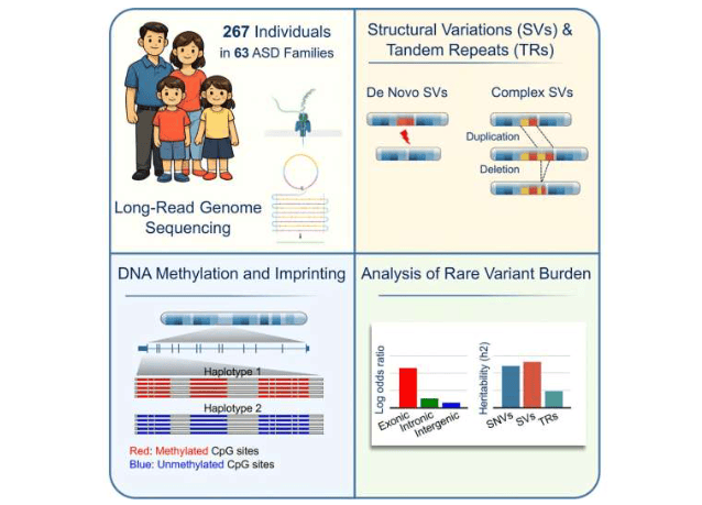 图片来源：细胞基因组学(2026年)