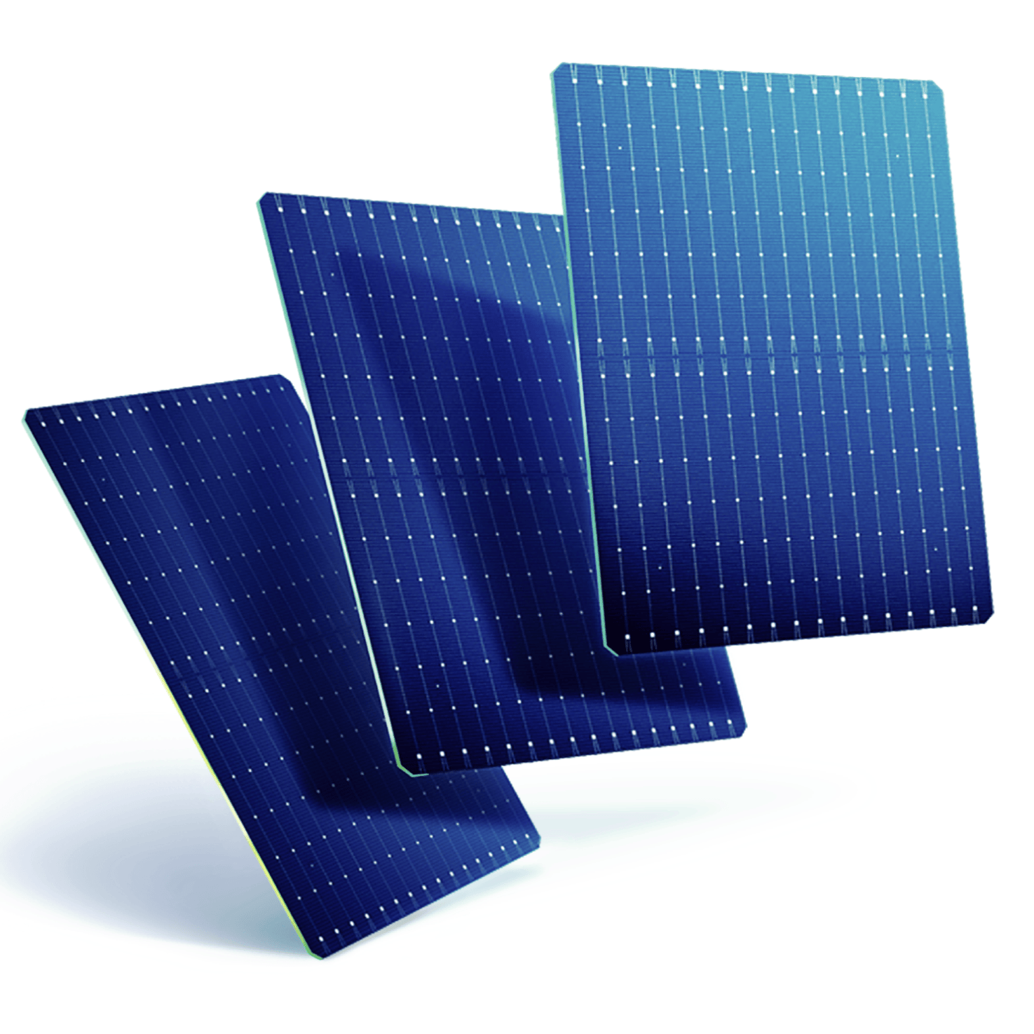 Cellule solaire bifaciale TOPCon N-type 16BB - 210R