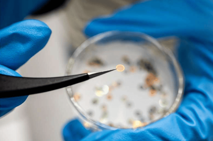 A transmission electron microscope sample grid with lithium fluoride powder dispersed on it. The col