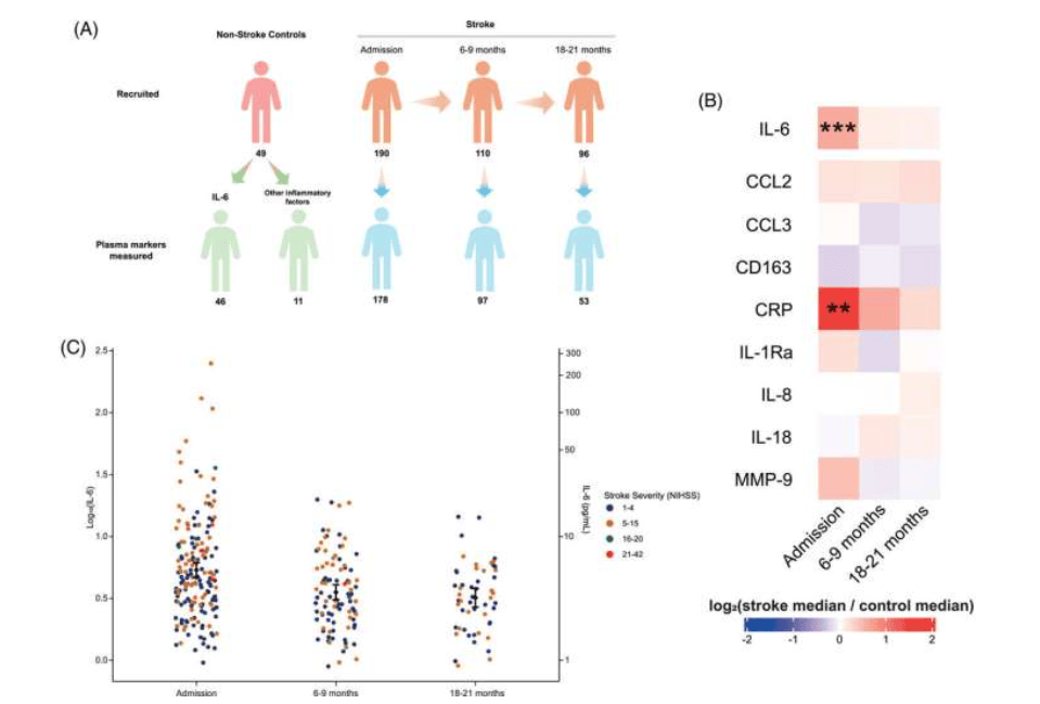 缺血性卒中后循环炎症因子的纵向特征。