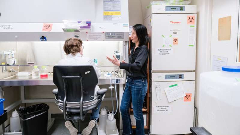 Why some people naturally control HIV even after stopping therapy — and how we can leverage that to treat others