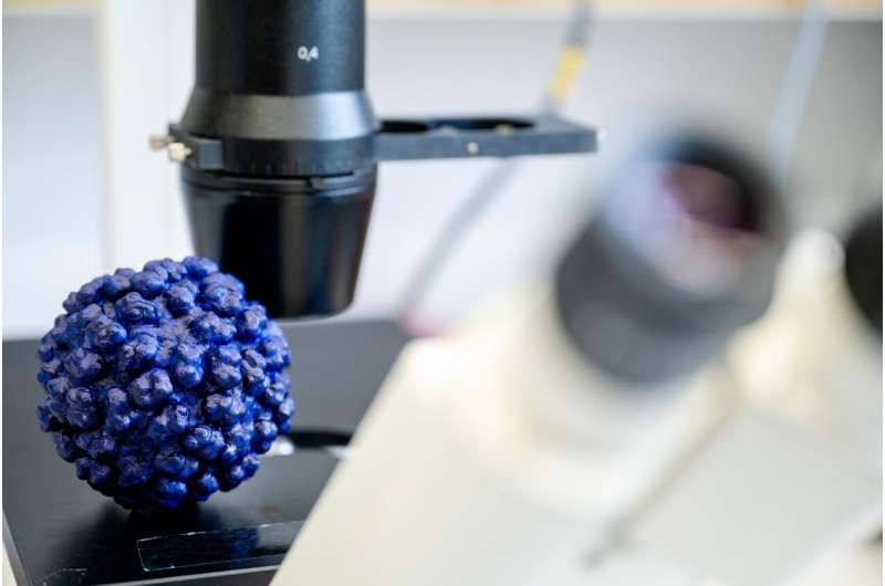 Promising active substance against hepatitis E identified