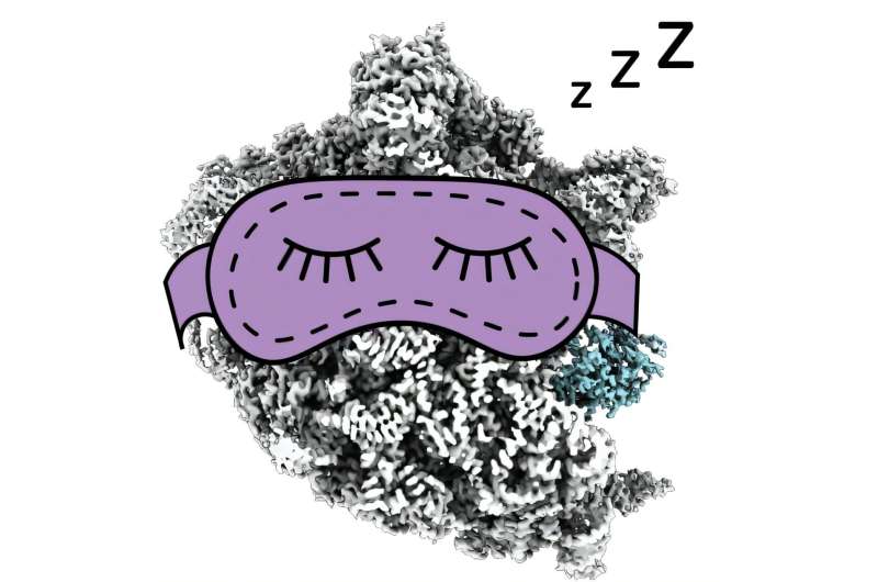 CryoPRISM: A new tool for observing cellular machinery in a more natural environment
