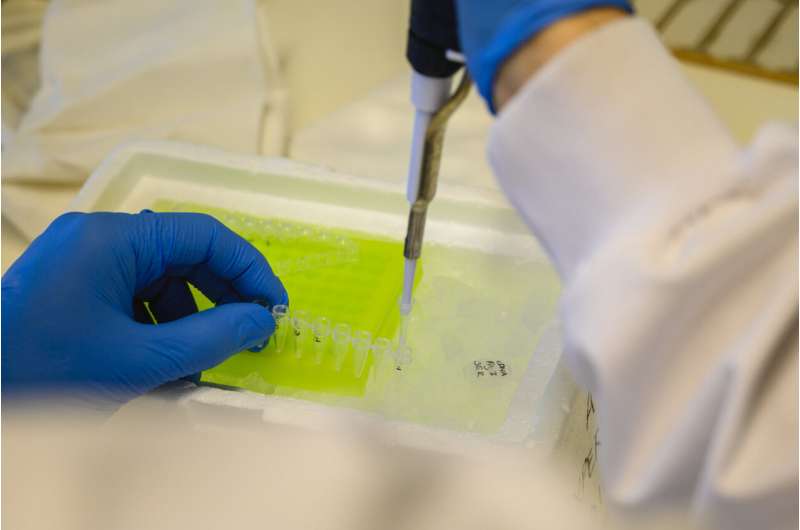 Autoantibodies implicated as drivers of long COVID in new study