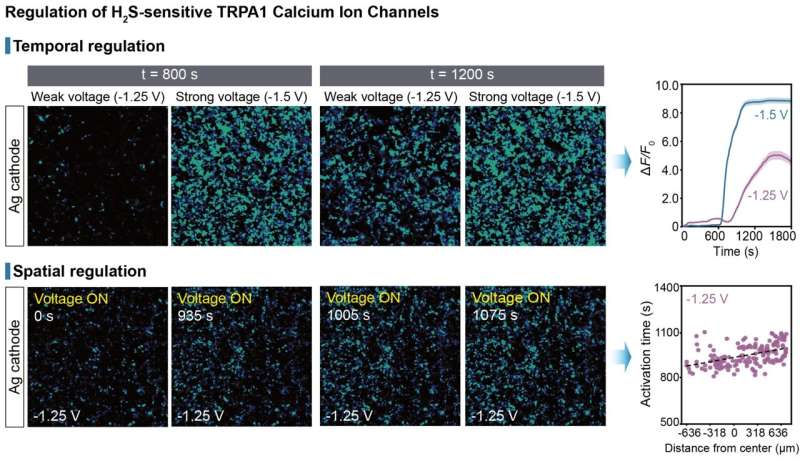 Bioelectronic platform for precision hydrogen sulfide delivery