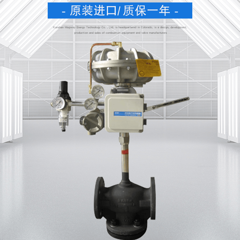 德国贝尔茨气动三通阀DN50-P16