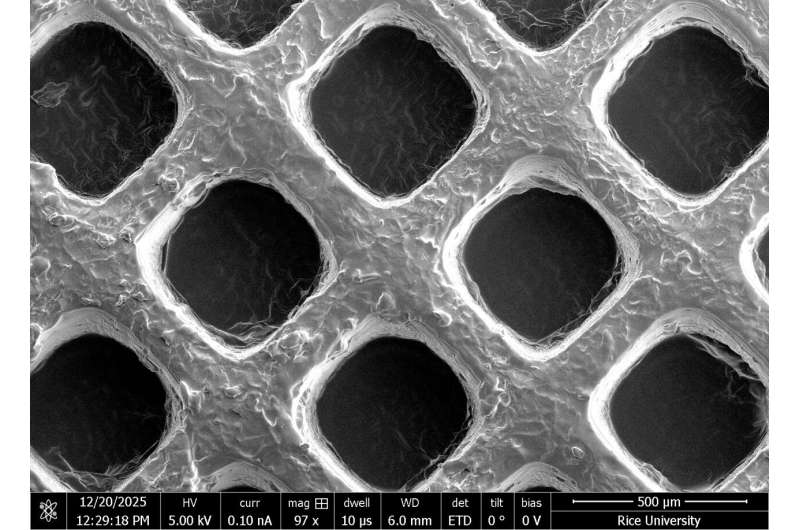 Scalable platform sheds light on how cancer spreads