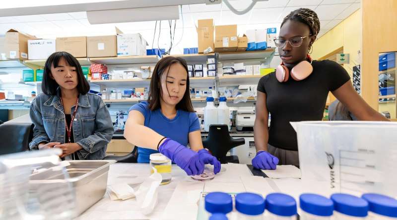 New technique reveals body-wide cellular processes