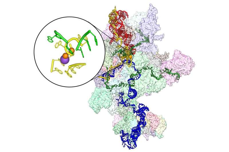 计算化学和超级计算机助力理解生命机制