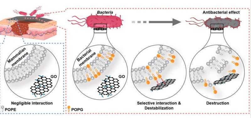 研究人员揭示售出1000万支的抗菌石墨烯牙刷背后的技术原理