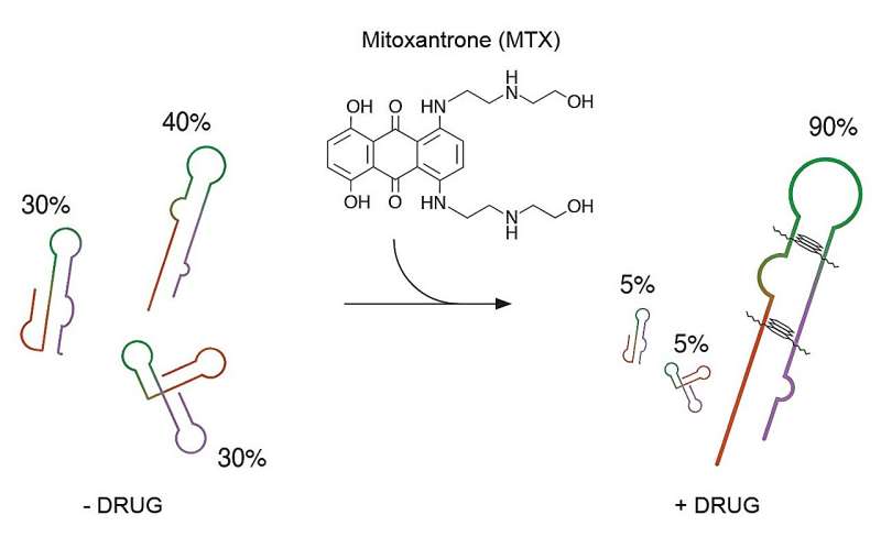 Study shows how to identify drugs altering RNA structure and function