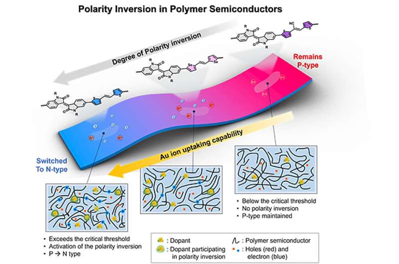 Revealing the origin of polarity inversion in polymer semiconductors