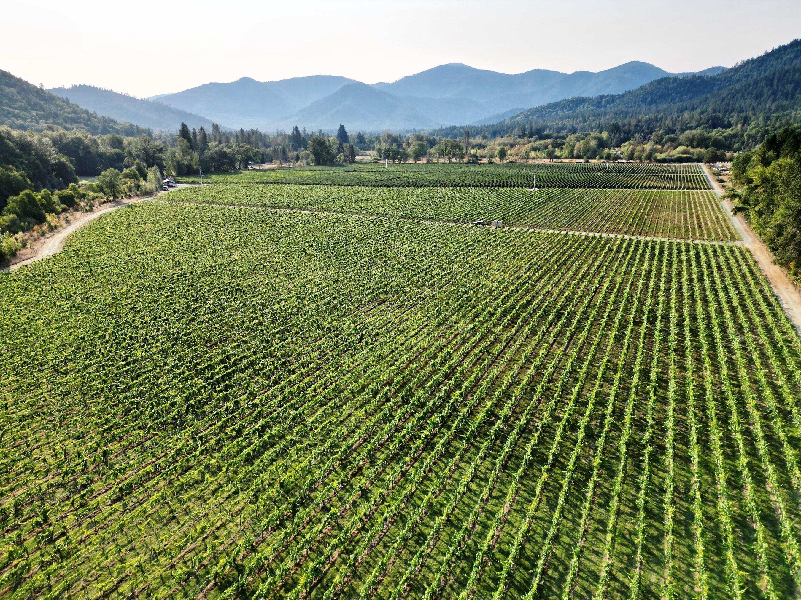 FarmTogether可持续农田基金，俄勒冈州葡萄园物业