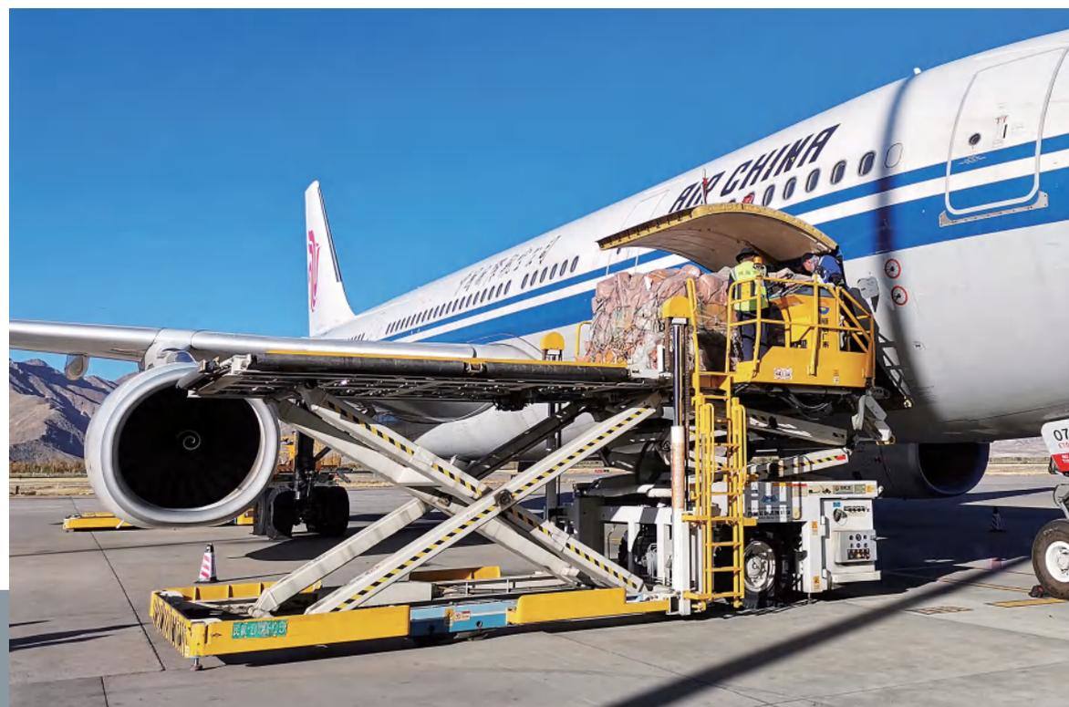 WGSJT7 集装货物装载机(内燃式)