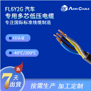 FL6Y2G汽车专用多芯低压电缆