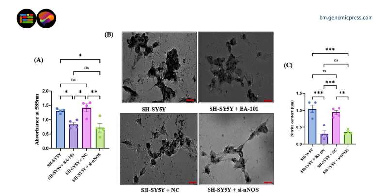 A single enzyme keeps neuroblastoma alive. Researchers just learned how to shut it off