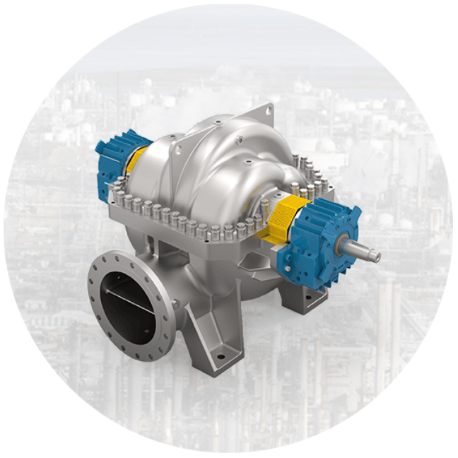 Центробежный насос с подшипниками на обоих концах BB1Type-DMS (2.5 МПа)