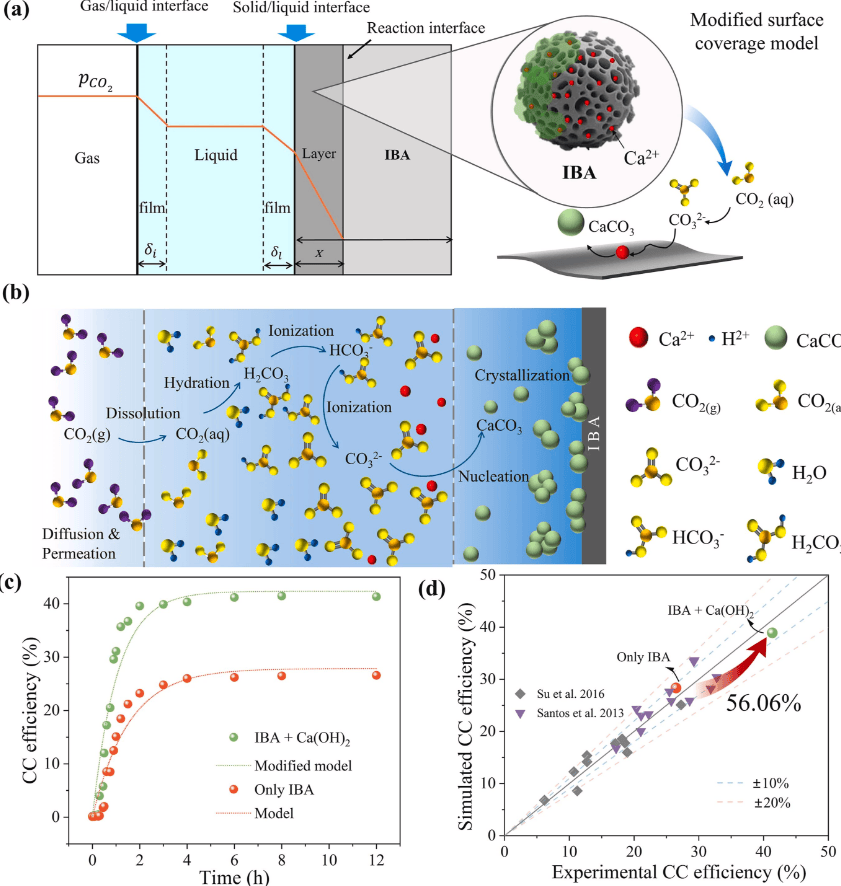  碳化包覆动力学模型拟合结果 