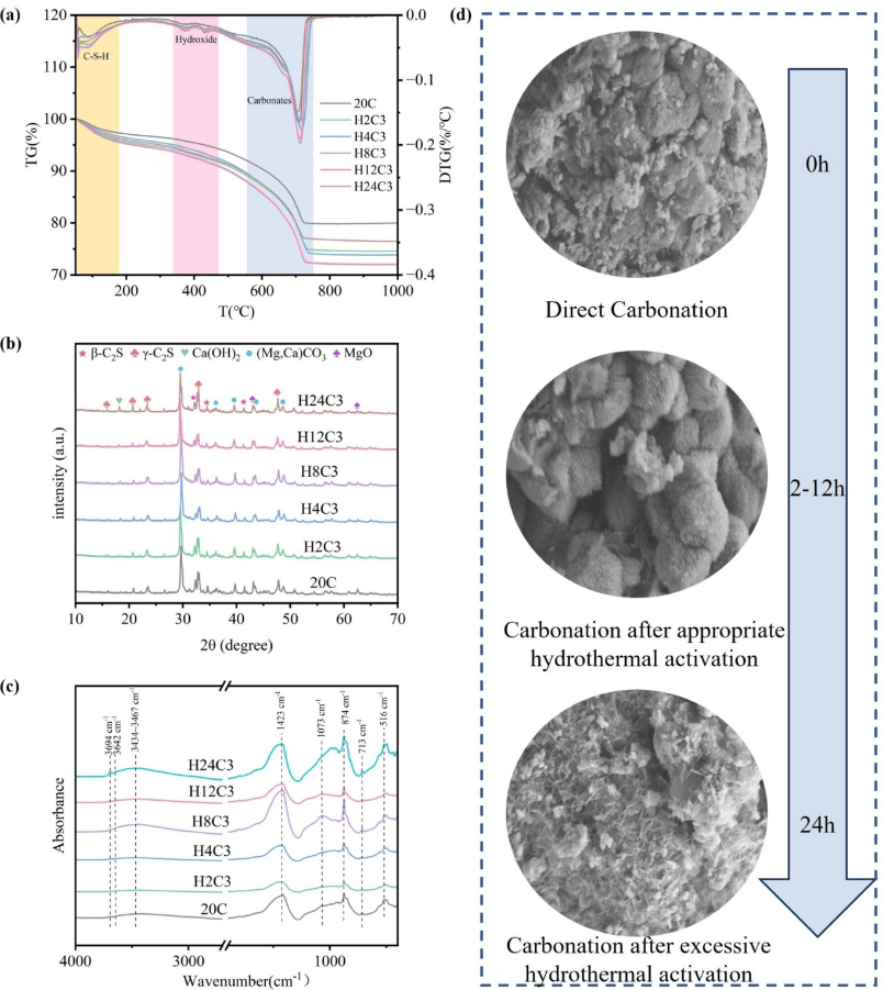 在 60°C 下不同时间的水热活化条件下，镁渣碳化过程的相变及形态变化