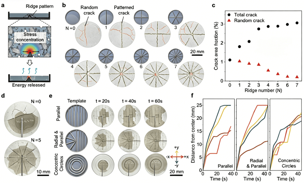 تصميم الشقوق القابلة للبرمجة الموجهة بالقاعدة ونقل المياه الموجه