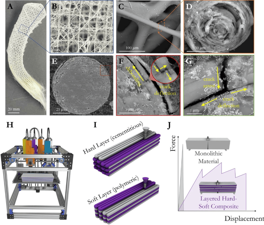 Hierarchical structure of the deep-sea glass sponge (Euplectella aspergillum) and schematic diagram of the multi-material additive manufacturing process of bioinspired hard-soft cementitious composites
