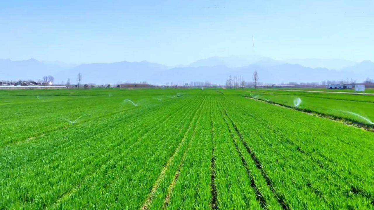 智能灌溉“显身手”，田间春管尽显“科技范儿”。