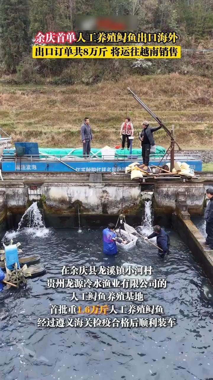 余庆水产品首次走出国门 鲜活鲟鱼“游”向越南