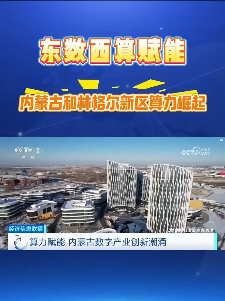 作为国家“东数西算”战略的重要枢纽，内蒙古凭借绿电优势与算力集群优势强势崛起，成为支撑京津冀乃至全国数字创新的坚实底座。而和林格尔新区，正是这片数字沃土上的核心增长极。