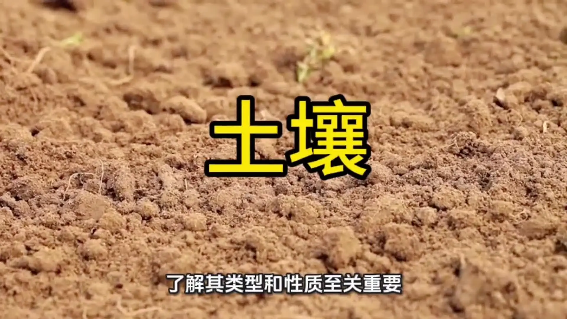 土壤是种植的基础，了解它才能种出好庄稼！?? #涨知识 #三农种植 #知识科普