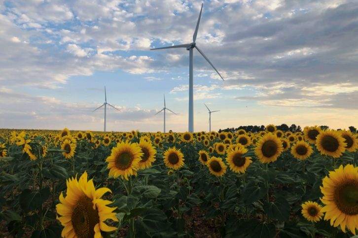 iberdrola