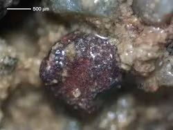 Микрофотография образца водоносного горизонта, показывающая минерал гематит (оксид железа)