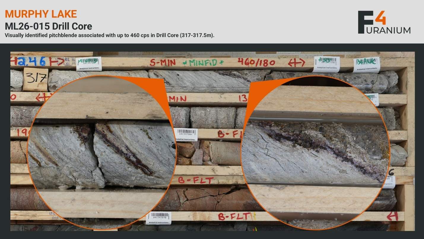 Figure 2. Pechblende visuellement identifiée entre 317 et 317,5 mètres dans le sondage ML26-015